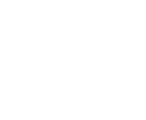 logo footer