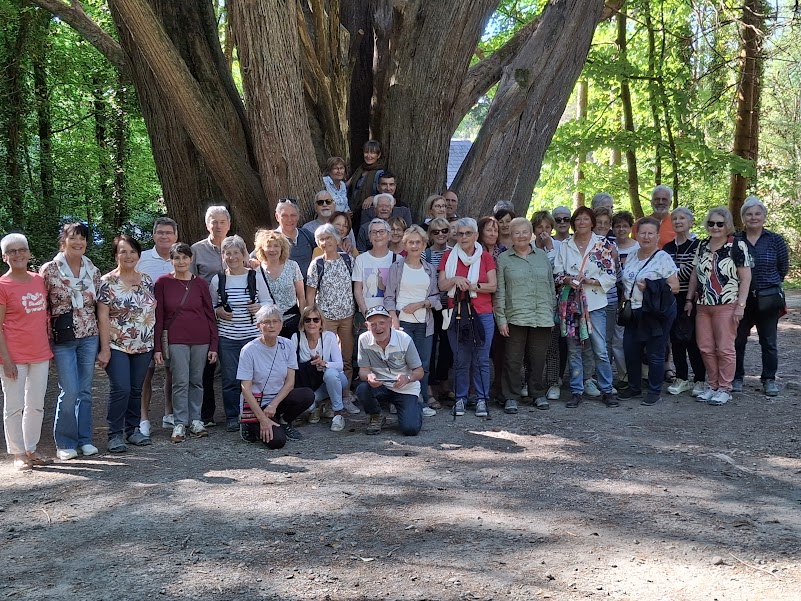 groupe irlande